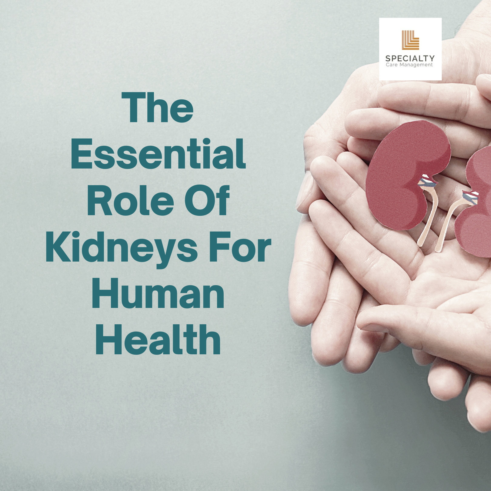 3-Mar-14-2023-03-09-02-4516-PM 3-Mar-14-2023-03-09-02-4516-PM